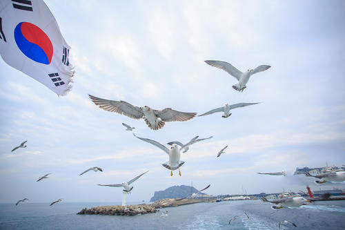 從“非主流”到主流，韓國(guó)留學(xué)是怎樣逆襲的？