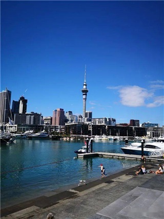 新西蘭留學(xué)|新西蘭中小學(xué)留學(xué)全攻略：優(yōu)勢、課程體系與申請指南!