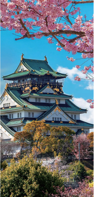 研學(xué)項(xiàng)目|日本東京研學(xué)營(yíng)：7天遇見(jiàn)未來(lái)，在櫻花與動(dòng)漫之國(guó)收獲成長(zhǎng)